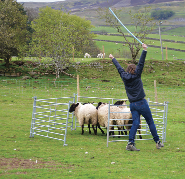 Screenshot 2019 12 23 At 10.08.43